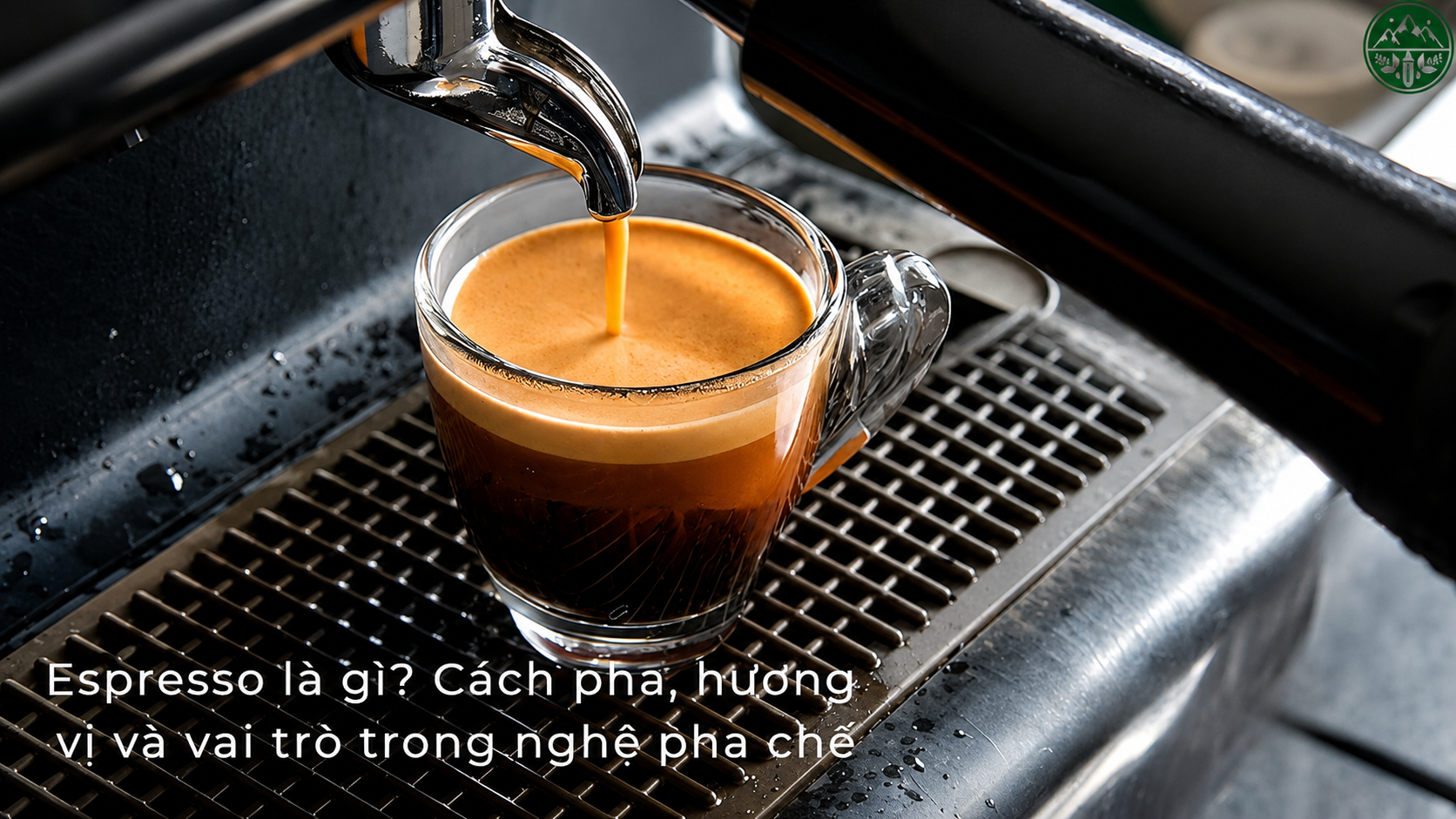 Espresso là gì? Tìm hiểu cách pha espresso, hương vị đặc trưng và vai trò của espresso trong nghề pha chế cà phê.